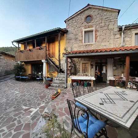 Hostel Xaxid Črni Kal エクステリア 写真