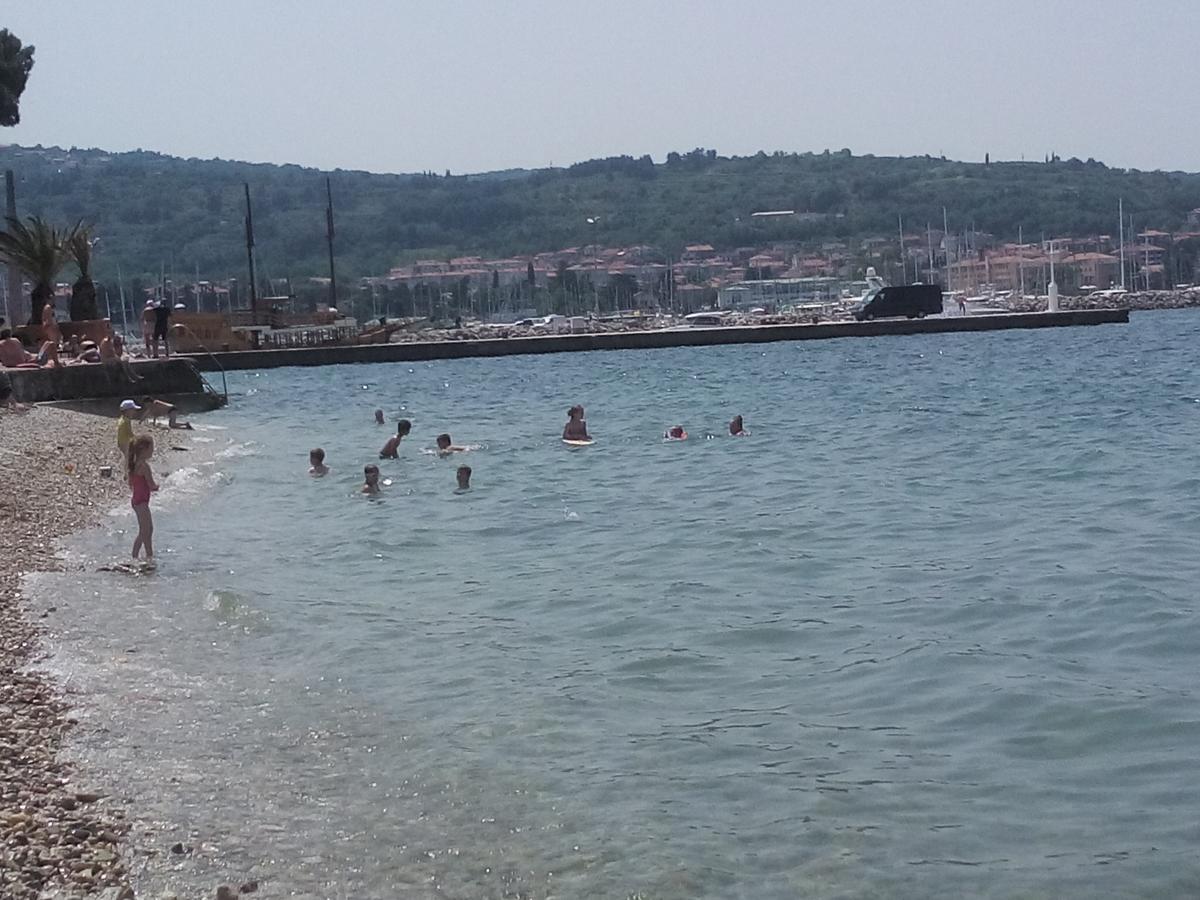 Hostel Xaxid Črni Kal エクステリア 写真